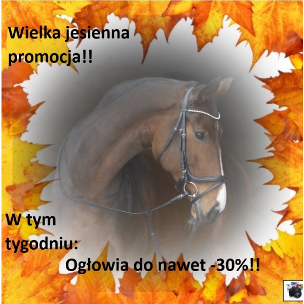 Ogłowia do nawet -30%